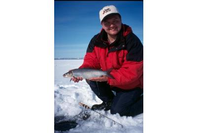 Lake Whitefish - An Ice Fishing All Star