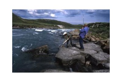 Netting and Landing Your Fish