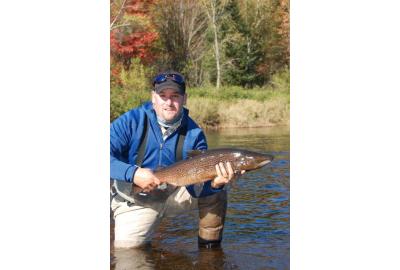 Atlantic Salmon The Fish of 1000 Casts