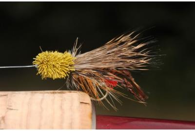Fishing Article - Best of Both Worlds - Fly fishing the Hopper-Dropper by  Neil Waugh Canada's Fishing Store – Fishing Gear online and in-store