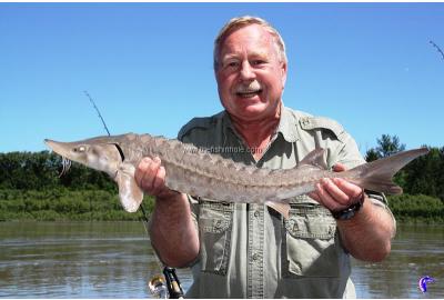 Fishing Tips and Facts for Sturgeon