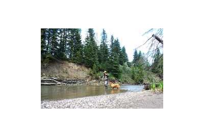 man standing in the water with dog in river stream 