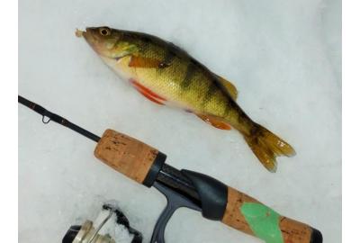 Gearing Up For Ice Perch