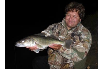 River Fishing for Fall Walleye