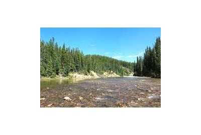 clear river stream in alberta coniferous trees line the horizon