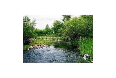 Small waters like this Cypress Hills beauty are a great place to hone your fly-fishing skills