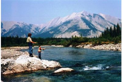 A Red Deer River super-sized brown trout