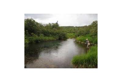 wide shot of stream with man on the right handside standing in water fishing