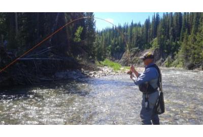 Choose the right fly line for your fishing situations.