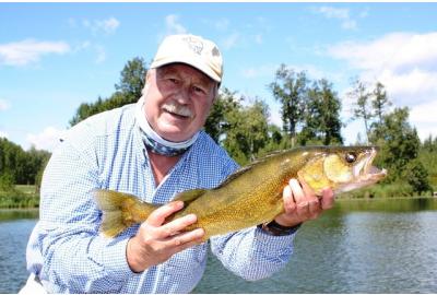 90 per cent of Alberta walleye occupy 10 per cent of the water