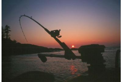 Planning your Upcoming Angling Adventures