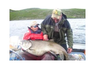 Saskatchewan Lake Trout record 50 x 33.5 and 70 lbs!