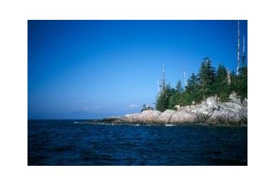 rocky shore with pine trees surrounded by dark blue waters