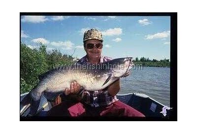 man sitting in boat holds a very large catfish