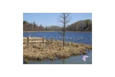 fall grassy inland middle of pond