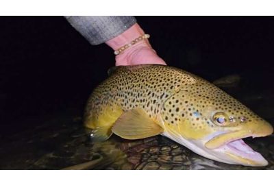 Night Fishing for Trophy Trout