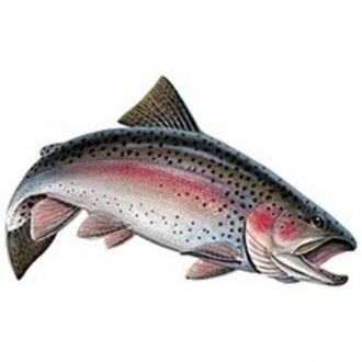 Sabertooth Company Rainbow Trout Stickers from The Fishin' Hole