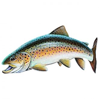 sabertooth company brown trout small sticker SAR 139 base_image