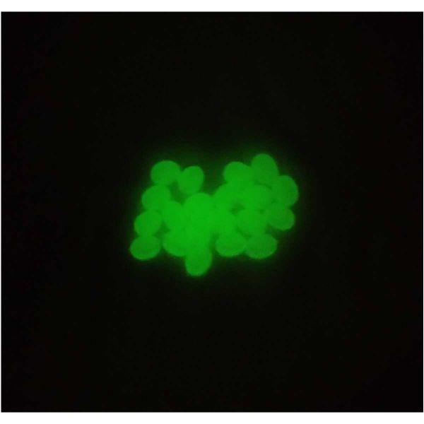 Falcon Tackle Soft Beads in Glow, Size 1 from The Fishin' Hole
