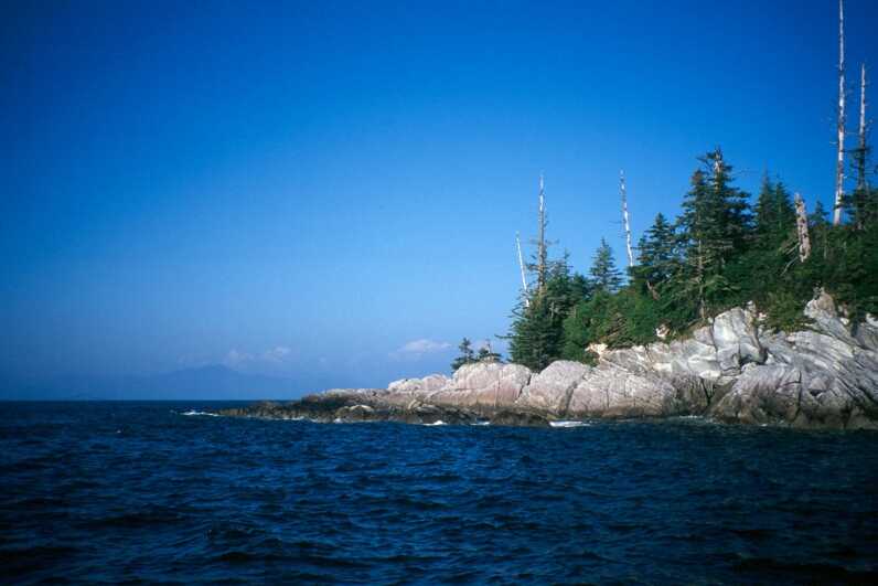 rocky shore with pine trees surrounded by dark blue waters