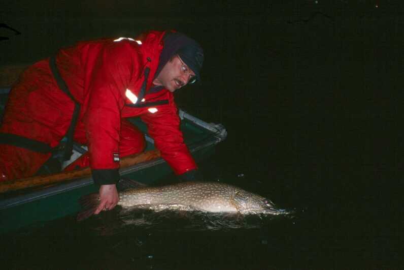 man wearing red suit kneeling in the dark over edge of boat to release large fish into water