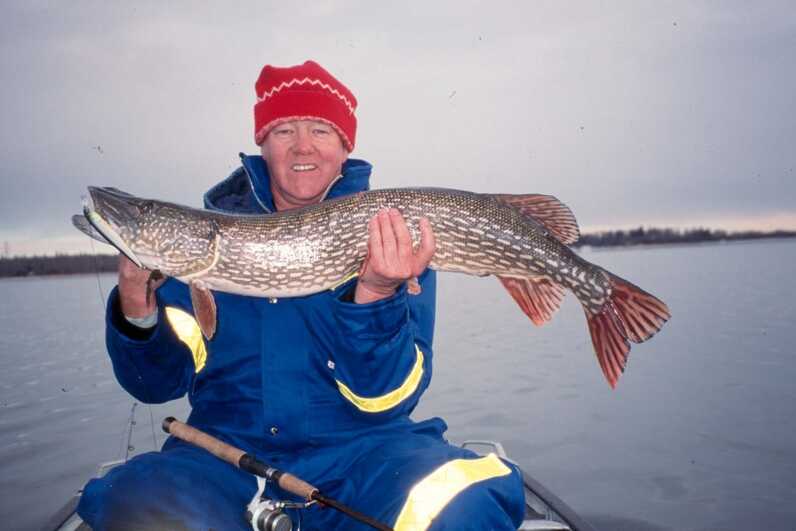 sitting man holds a large pike horizontally with both hands and fishing rod on his lap