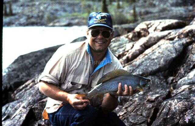 Arctic Grayling are a perfect fish for the novice angler to hone their skills on.