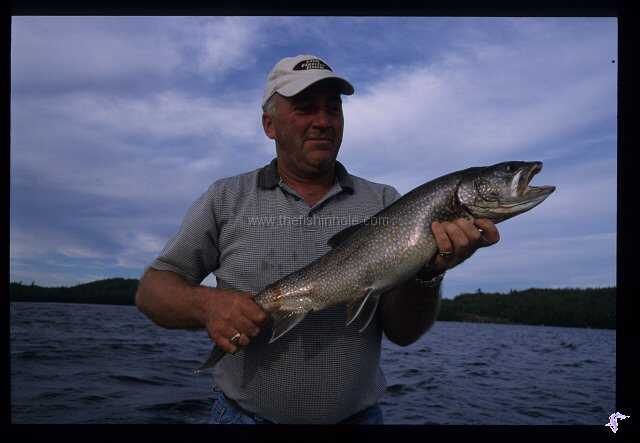 fish by the boatloads