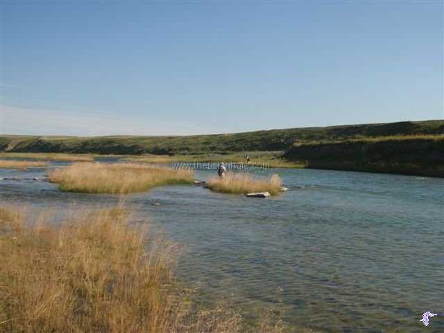 Grassy banks and windy condition