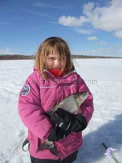 More fish caught