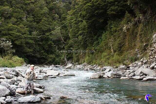 In New Zealand big things can come in surprisingly small packages like this back country mountain stream