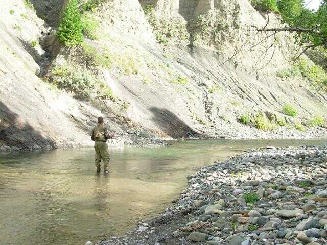 Crowsnest streams