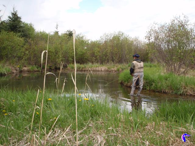 My first exposure to small stream fly fishing was also my first exposure to actual fly fishing