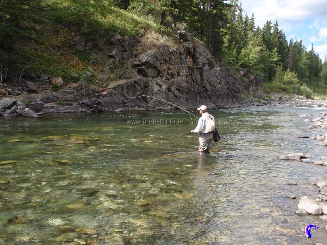 An 8 1/2' - 9' fly rod works well in most situations