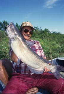 Edmonton harbours catchable populations of burbot, walleye & northern pike