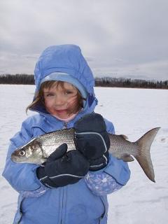 You need to be up early for whitefish