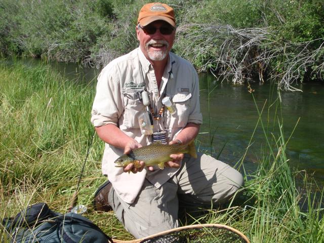 Central Alberta's brown trout streams will test your skills in close quarters