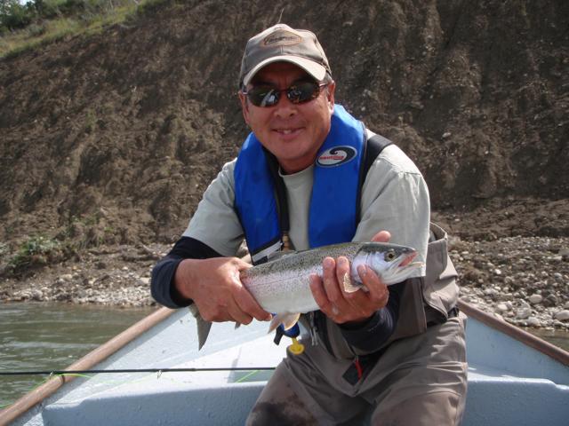 A healthy Bow River rainbow