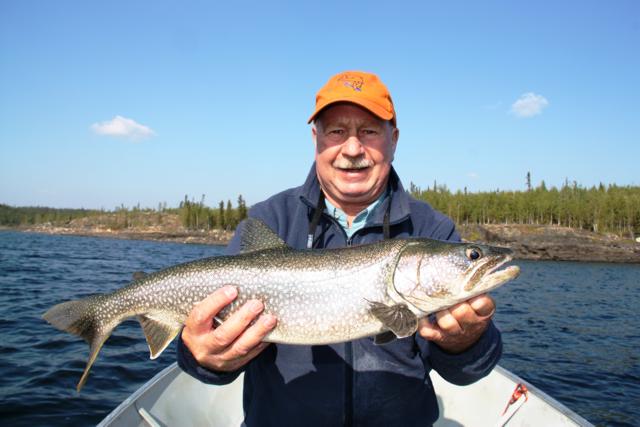 Lake Trout