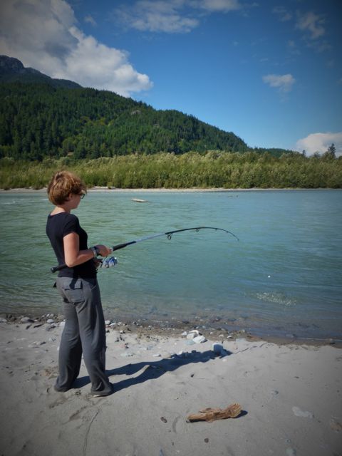 Every odd numbered year pink salmon flood the streams and rivers of southern BC