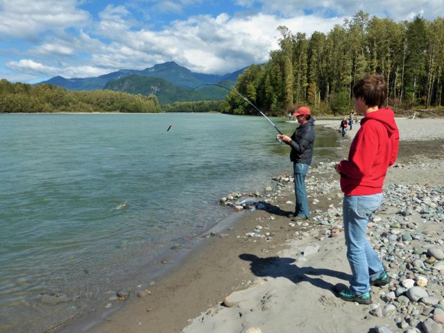 Back in his preferred casting spot, Wayne caught a lot of salmon from this stretch of river