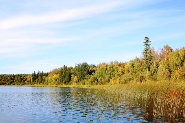 Dolberg Lake - an Alberta stillwater renowned for its large rainbow trout
