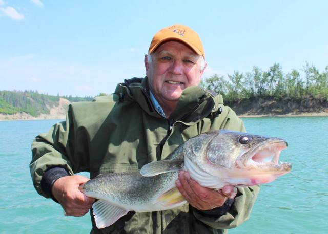 Walleye in the heart of Edmonton North Saskatchewan River