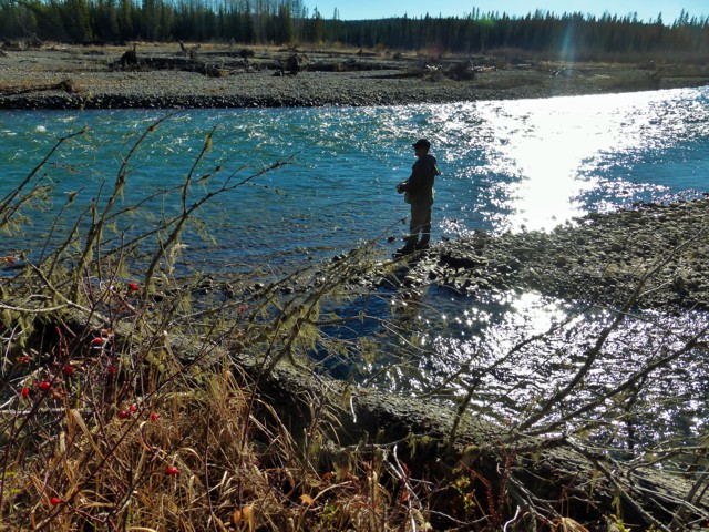 Fall season mountain and foothill streams Alberta