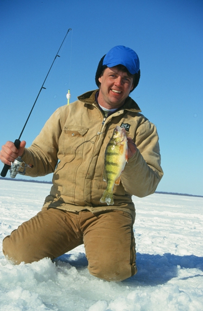 Yellow Perch caught on strong opaque ice