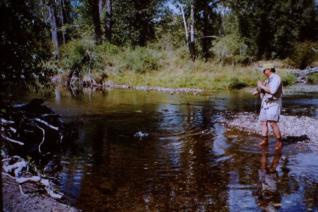 Brown Trout fishing in Little Blackfoot River Dearlodge Montana