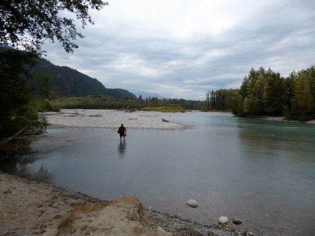 Salmon were in the river and we made the most of it