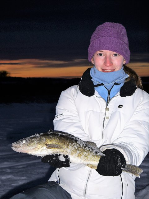 Staying Late put us into lots of walleye.