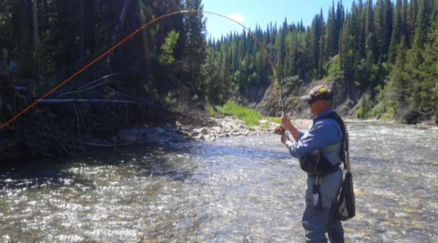 Choose the right fly line for your fishing situations.