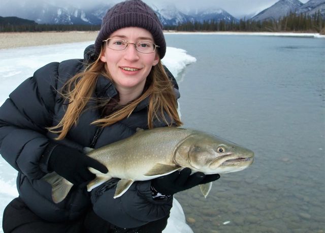 The potential for mega bull trout on the Athabasca River is very real.